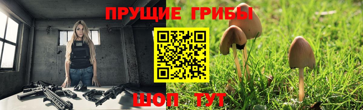 Галлюциногенные грибы мицелий Новоалтайск